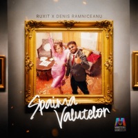Spaima valutelor - Single - Ruxit, Denis Ramniceanu & Ministerul Manelelor