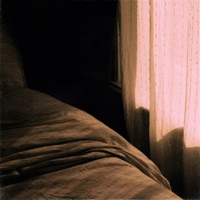 Dewlit Veil - Single - Bogomolove