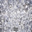 break the bank (feat. TEE!, sanctufy & azuna) - Single