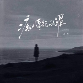 痴情犯的罪 龙翼