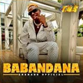 Babandana Grenade Official