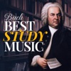 Antoine Touche Harpsichord Concerto No. 1 in D Minor, BWV 1052: I. Allegro Bach Best Study Music