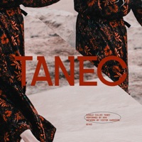 Tanec - Single - NXN