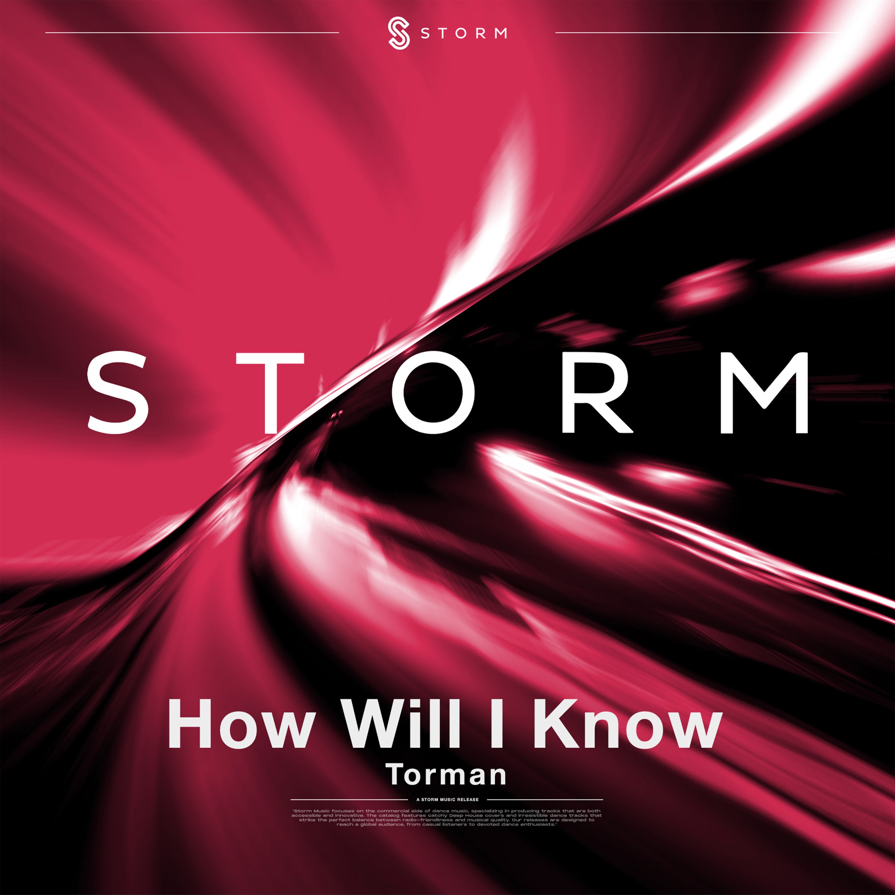 How Will I Know - Single