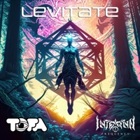 Levitate - Single - TOFA & Internal Frequency