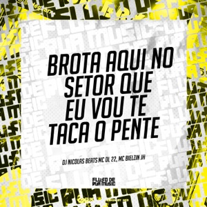 Brota Aqui no Setor Que Eu Vou Te Taca o Pente