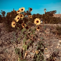 I Haven't Seen You - Single - Eli