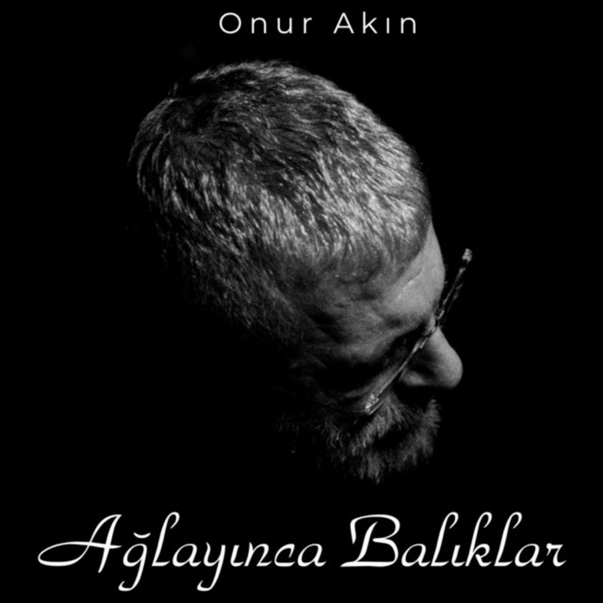 Memleket İsterim - Album by Onur Akın - Apple Music