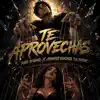 Te Aprovechas