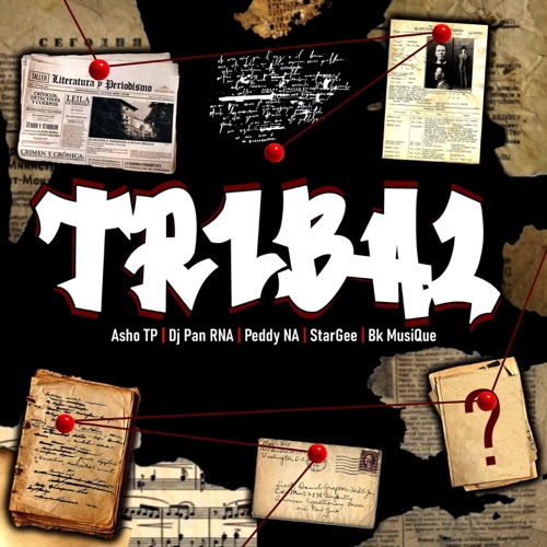 Tribal file (feat. Dj Pan RNA, Peddy NA, StarGee & Bk MusiQue) - Single
