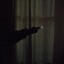 PISTOLA - Single