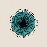 SHOW ME WHAT YOU GOT - Single - ELLIS!