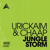 Jungle Storm artwork