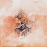 ECHOES - Single - Stephen Willo