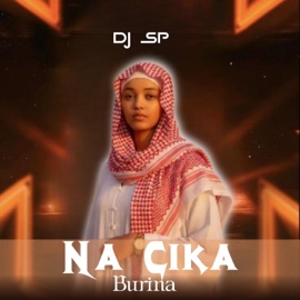 Na Cika Burina (feat. Jamil DK) Dj SP