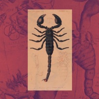 Venus In Scorpio - Single - Defcon Lawless