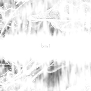 Form 1 - Single