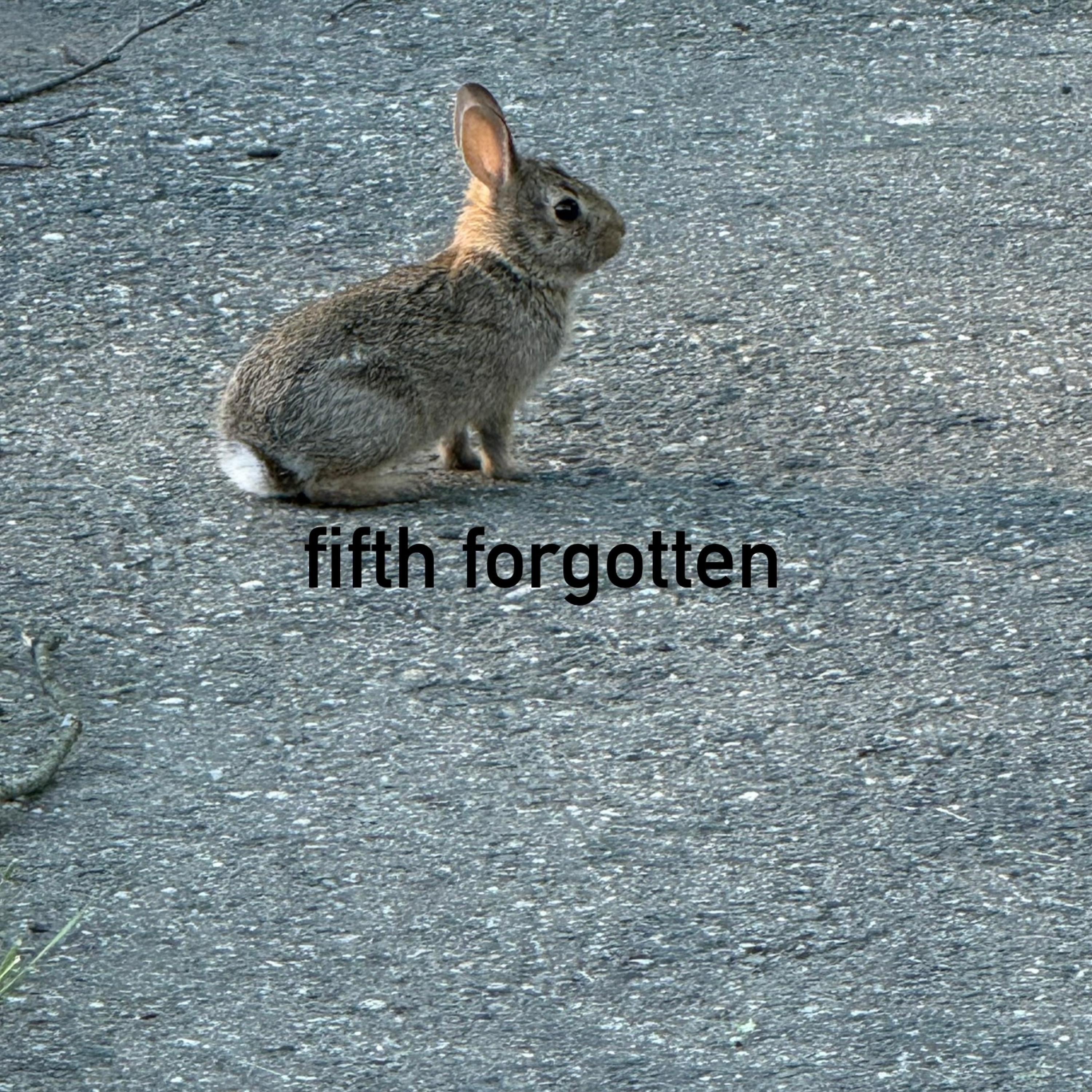 fifth forgotten - EP