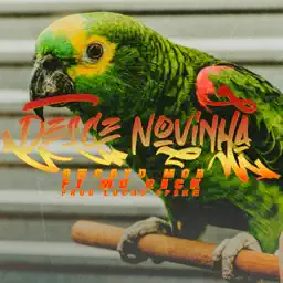 Desce Novinha album cover