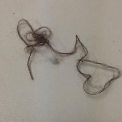 The Name Is Lyndia - EP