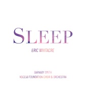 Sleep (Orch. Jim Clements) artwork