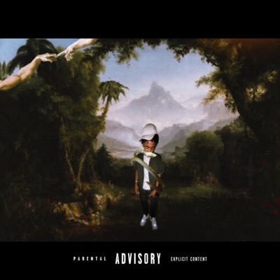 What I Like - Single