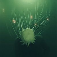 Ether - Single - Tetsuro