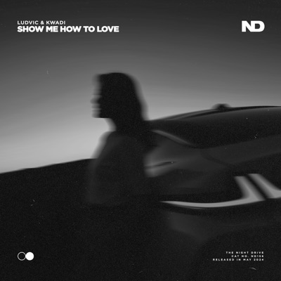 Show Me How To Love - Single