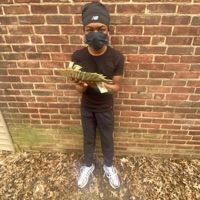 Patrick ewing - Single - ShadStackzz