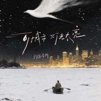 可城市灯光太亮 - Single - 刘家奇阿