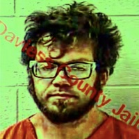 Felonies - Single - Swamptree Sater