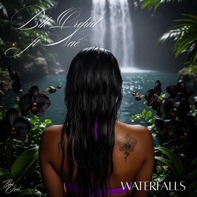 Waterfalls (feat. NAÊ) - Single