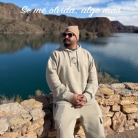 Se me olvida, algo mas - Single - Ivanda