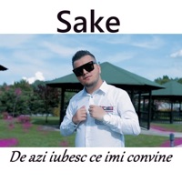 De azi iubesc ce imi convine - Single - Saké