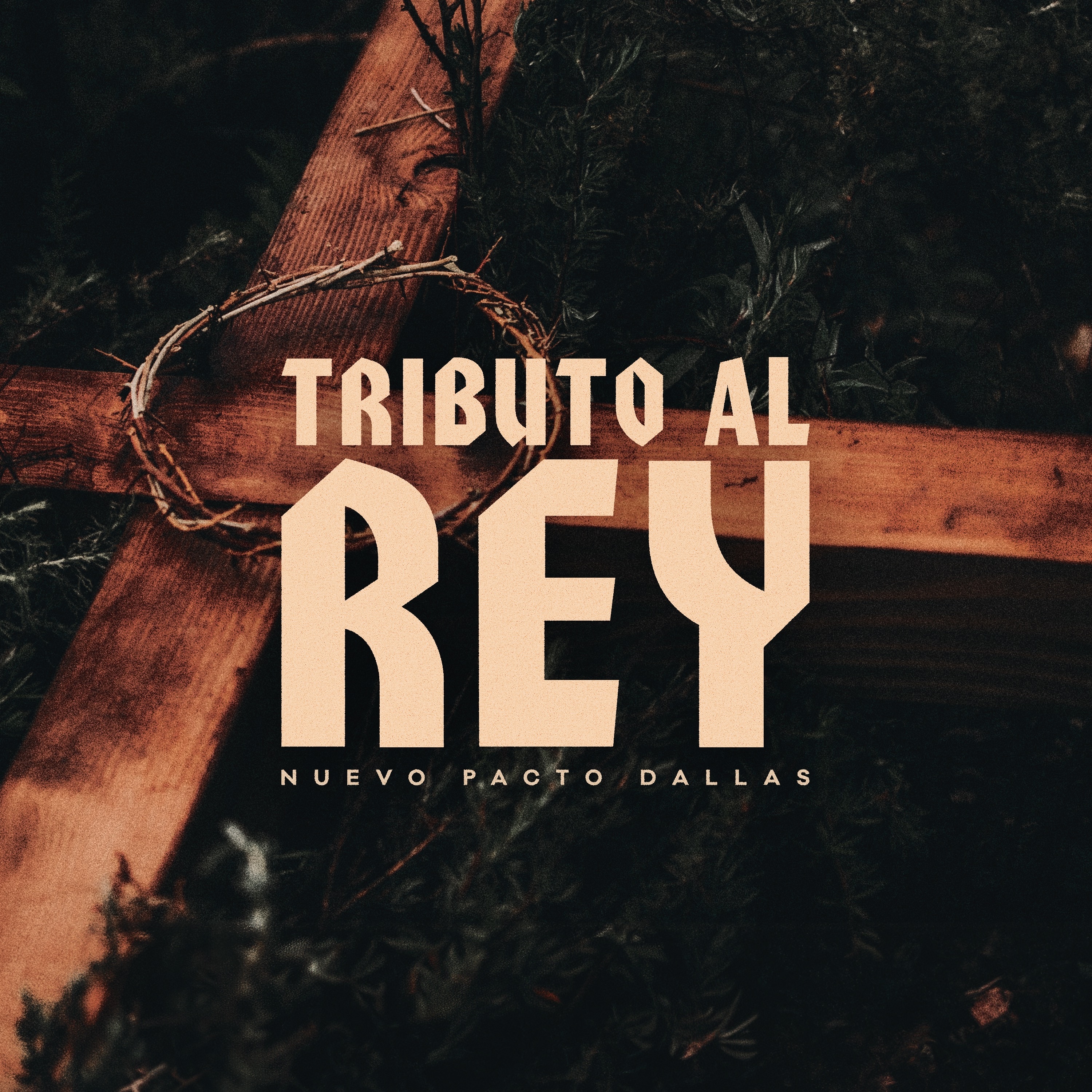 Tributo Al Rey (En Vivo)