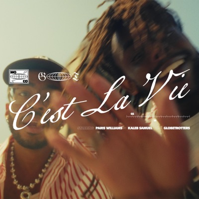 C'est La Vie - Single