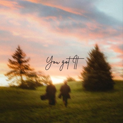 You Got It - Single