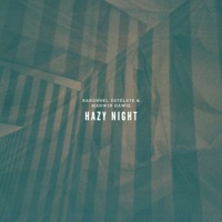 Hazy Night - Single - Baronski, Estelate & Marwin Dawiz