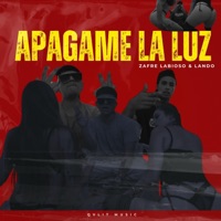 Apagame la Luz (feat. LANDO) - Single - Zafre Labioso