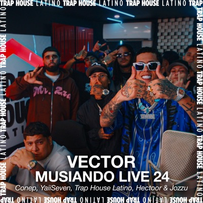 Vector (Musiando Live 24) [feat. Hectoor & Jozuu] - Single