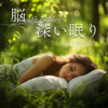 Meditation - Sleepy Nuts
