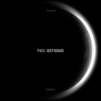 No Stress (feat. DEBO) - Single - THEFT