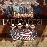 La Fuga De 21 (feat. Los Leales de Ocampo) [En Vivo] - Single - Los Empacadores De Durango