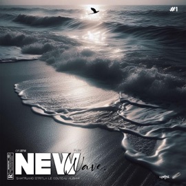 FREESTYLE NEW WAVE #1 (feat. Saintruand, Stritla, Le Couteau, Albinny & Flek) Dr. BPM