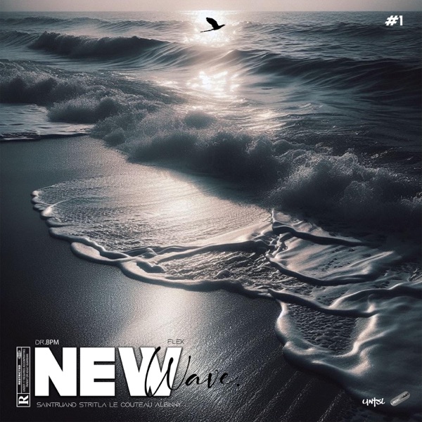 FREESTYLE NEW WAVE #1 (feat. Saintruand, Stritla, Le Couteau, Albinny & Flek)