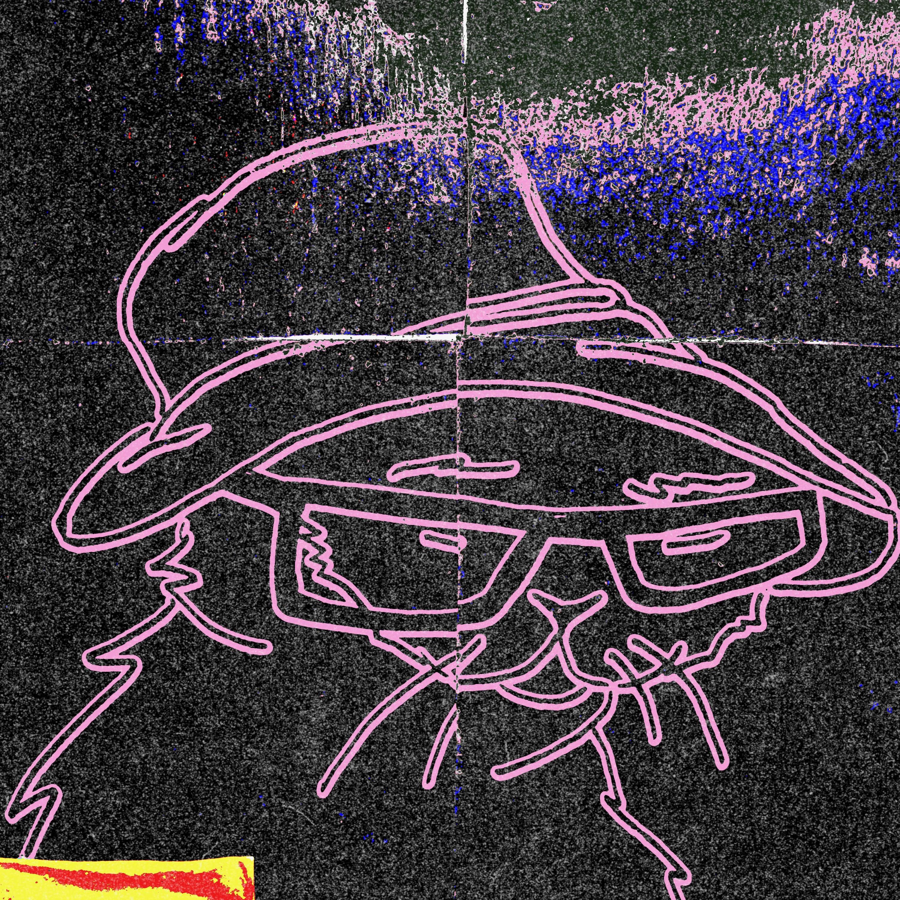 Dude Shorts - Single