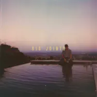 Big Joints — Cam Meekins
