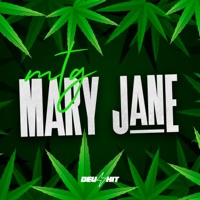 Mtg Mary Jane (feat. Mc Lzyn) - Single - DJ VITIN LF