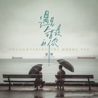 遇见错误的你 - Single - 梁帅