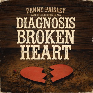 Diagnosis Broken Heart - Single